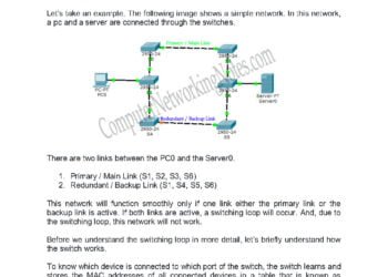 Layer 2 Switching Loops in Network Explained PDF