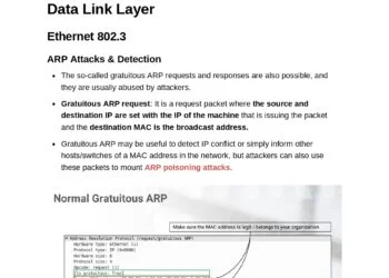 Network Traffic and Flow Analysis PDF