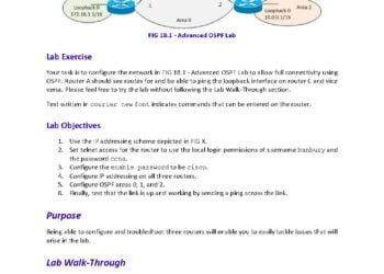 OSPF Advanced Lab Exercise for CCNA and CCNP PDF