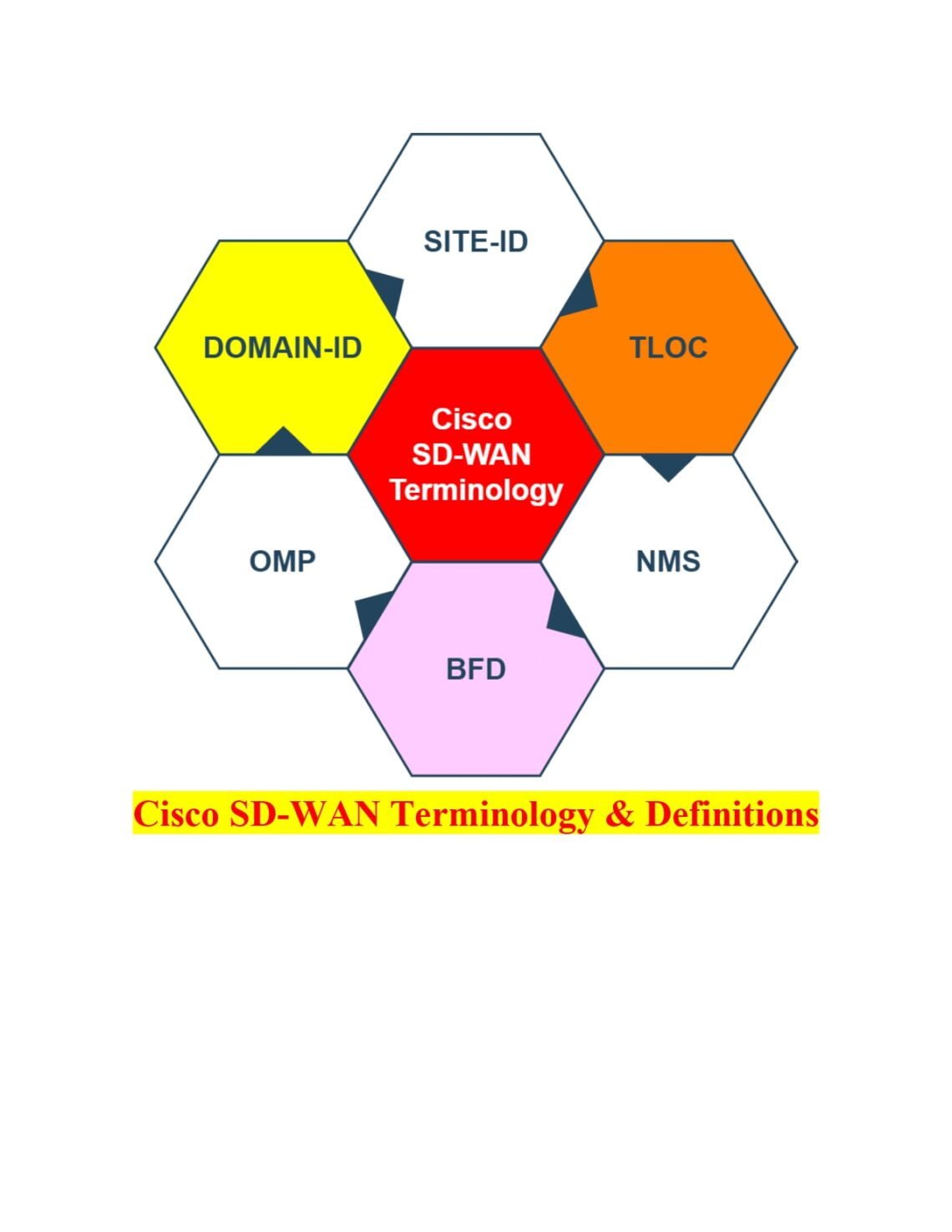 2- Cisco SD-WAN Terminology: A Comprehensive Guide