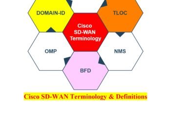 2- Cisco SD-WAN Terminology: A Comprehensive Guide