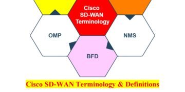 2  Cisco SD WAN Terminology A Comprehensive Guide
