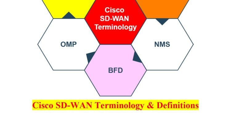 2- Cisco SD-WAN Terminology: A Comprehensive Guide