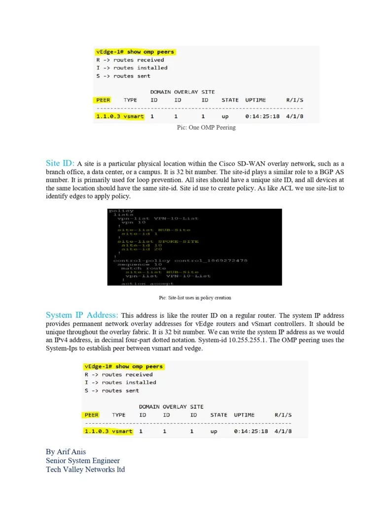 CiscoSDWANTerminologypage0003 Connect 4 Techs