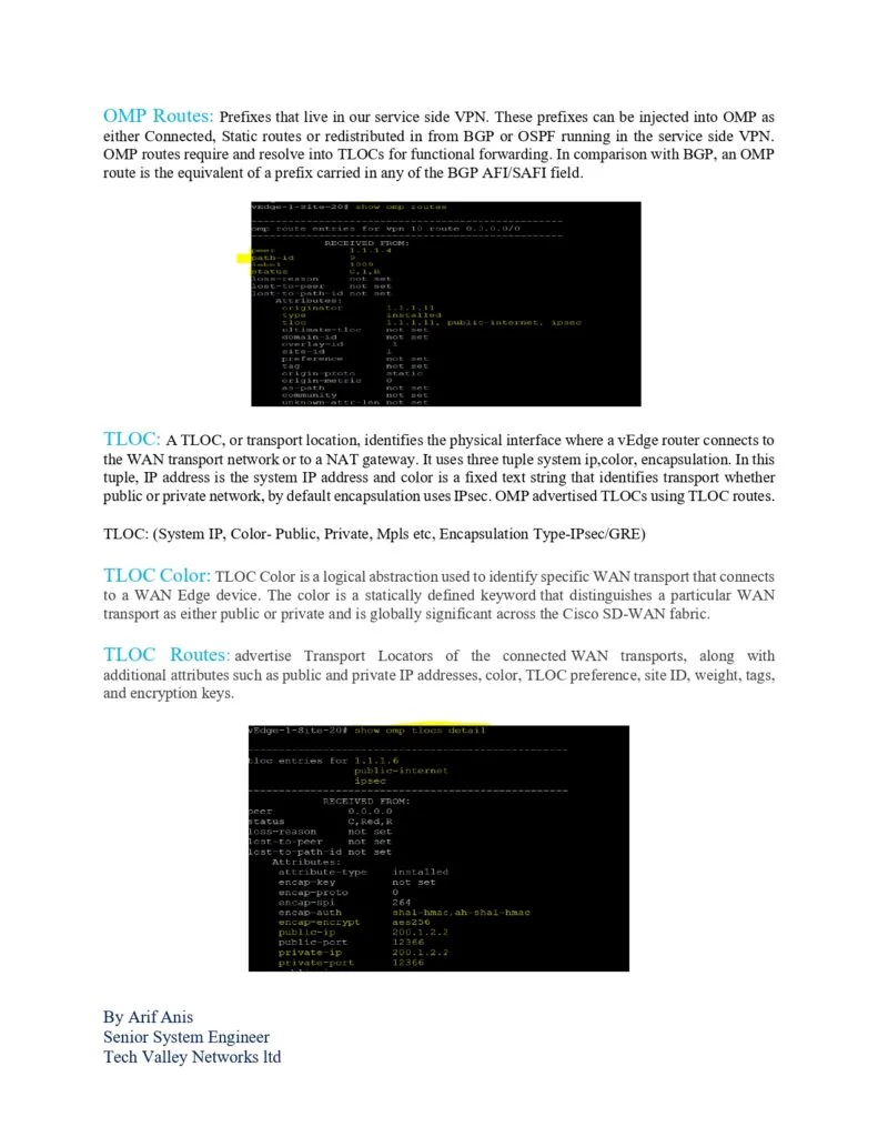 CiscoSDWANTerminologypage0004 Connect 4 Techs